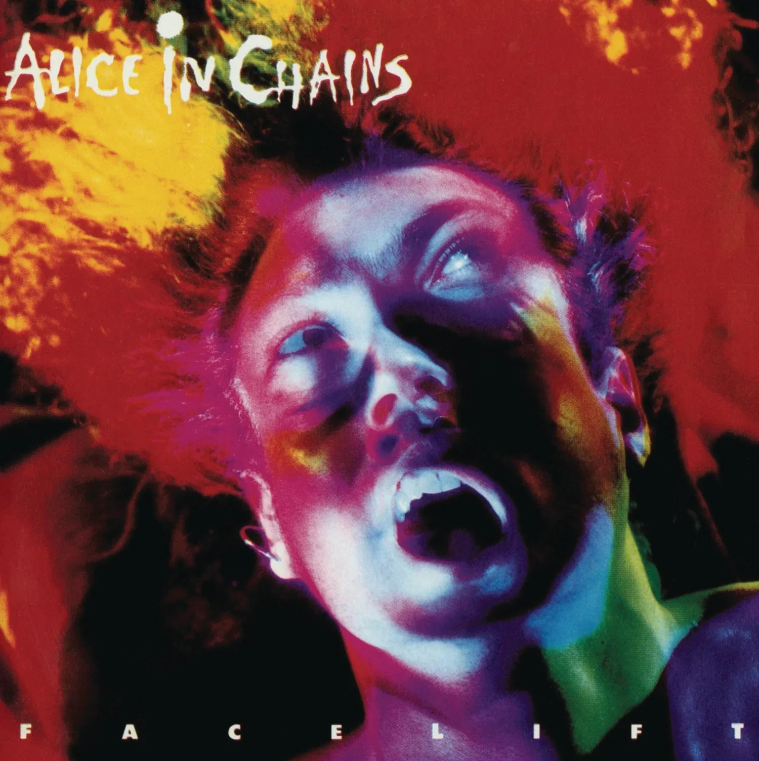 Alice In Chains - Facelift (Vinyl) - Image 2