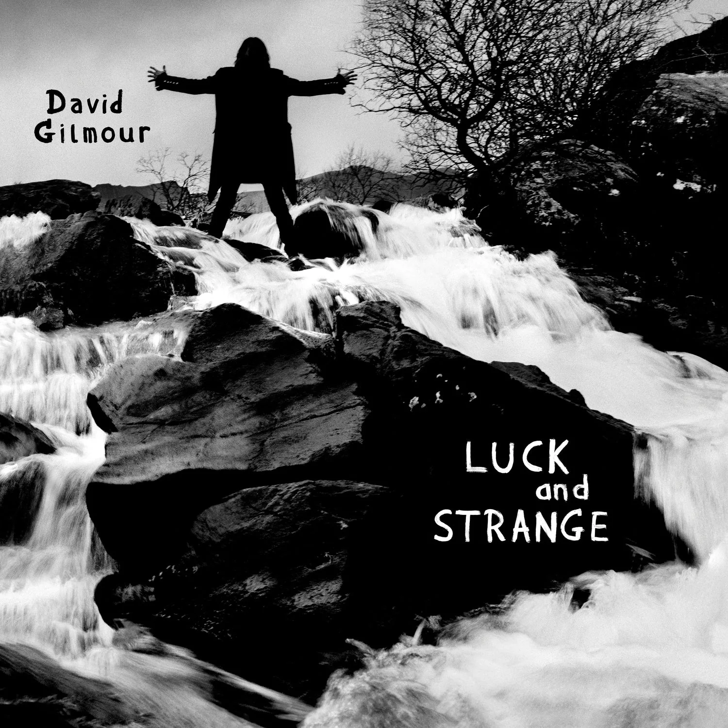 David Gilmour - Luck And Strange (Sea Blue Vinyl) - Image 2