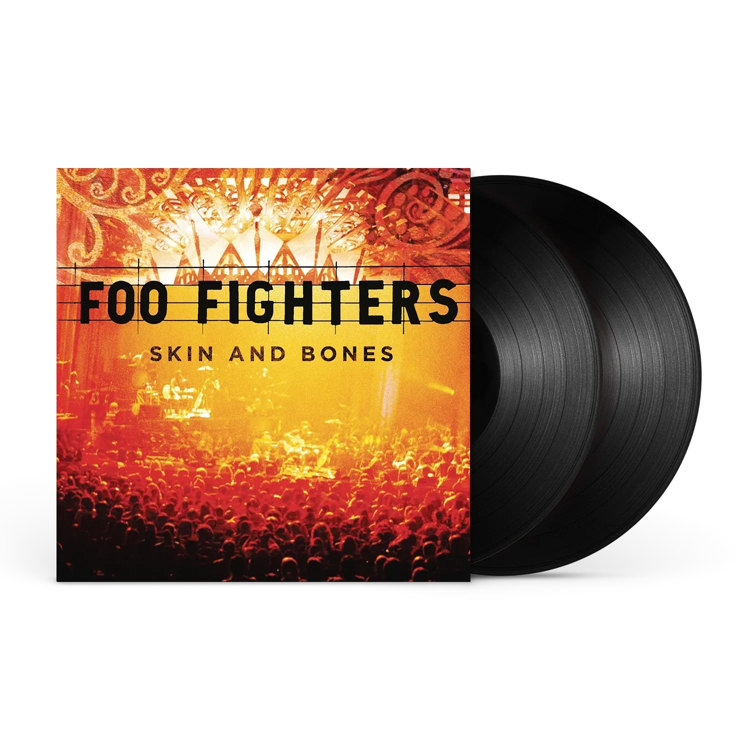 Foo Fighters - Skin & Bones (Vinyl)