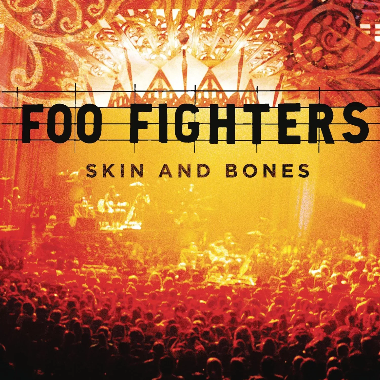 Foo Fighters - Skin & Bones (Vinyl) - Image 2