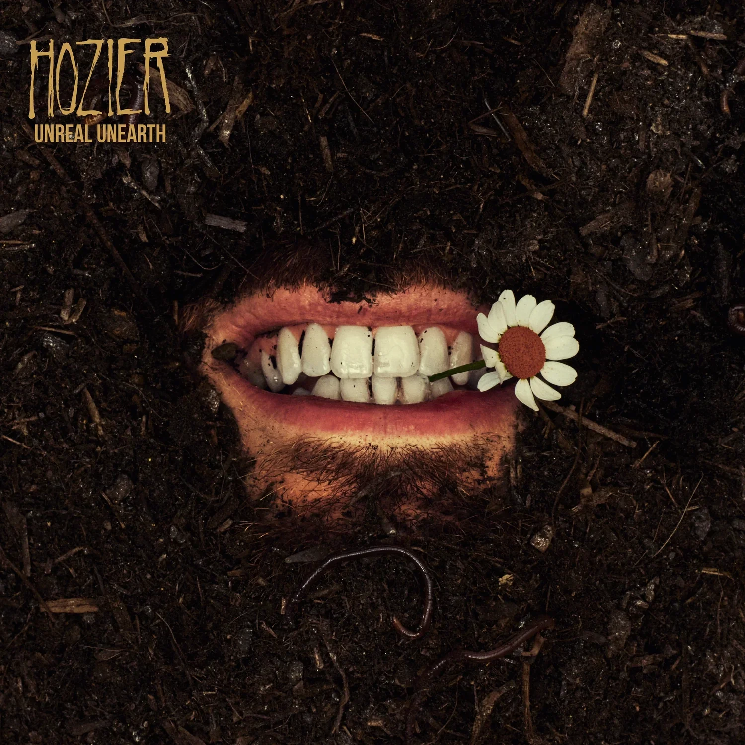 Hozier - Unreal Unearth (Vinyl) - Image 2
