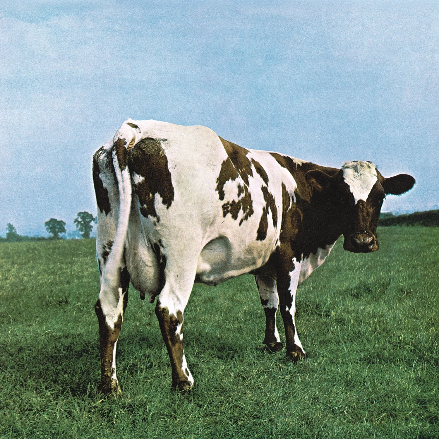 Pink Floyd - Atom Heart Mother (Vinyl) - Image 2