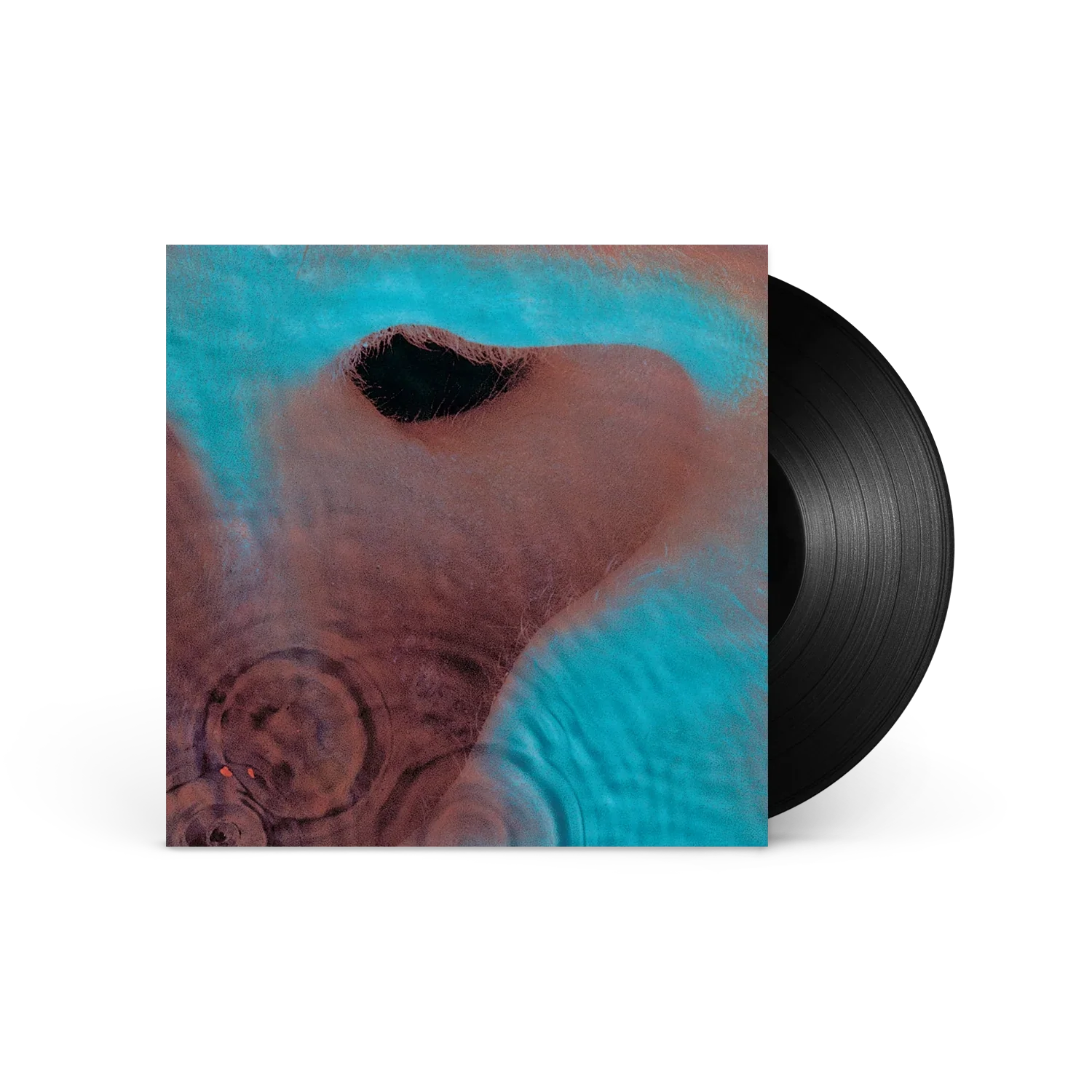 Pink Floyd - Meddle (Vinyl)
