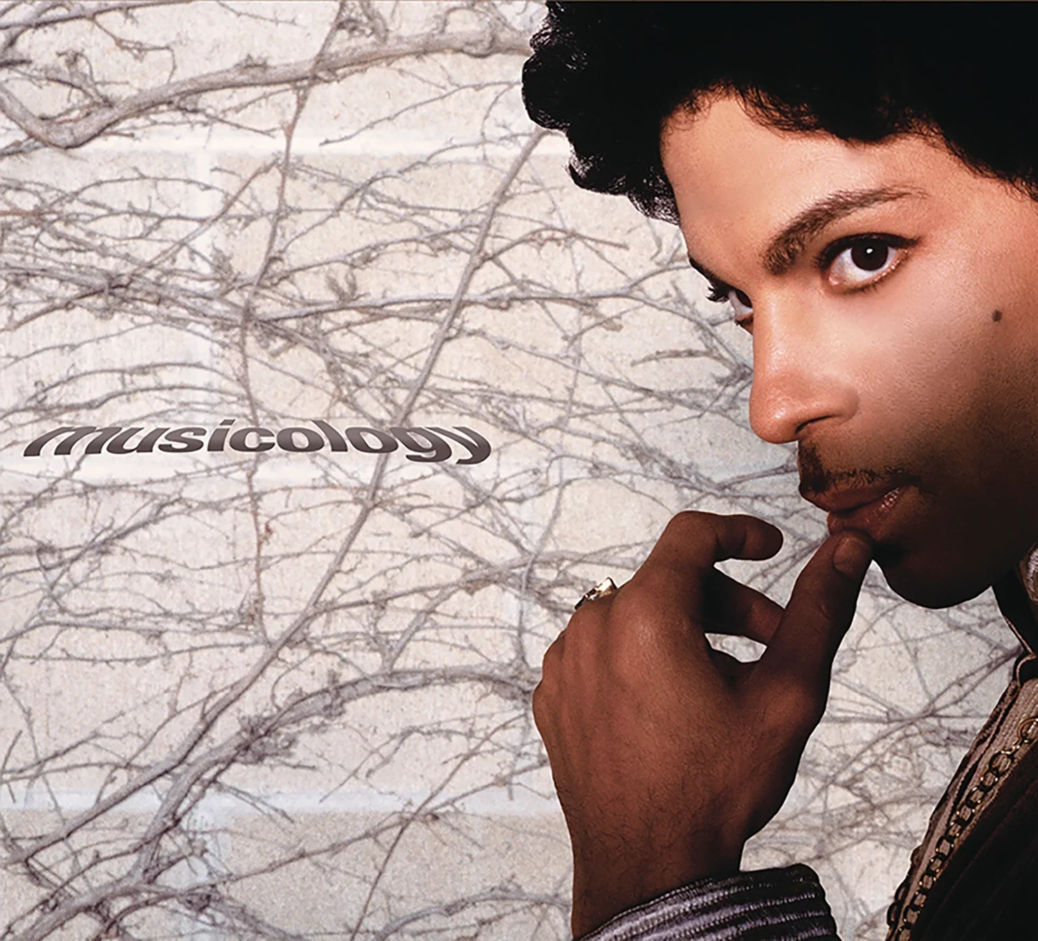 Prince - Musicology (CD) - Image 2