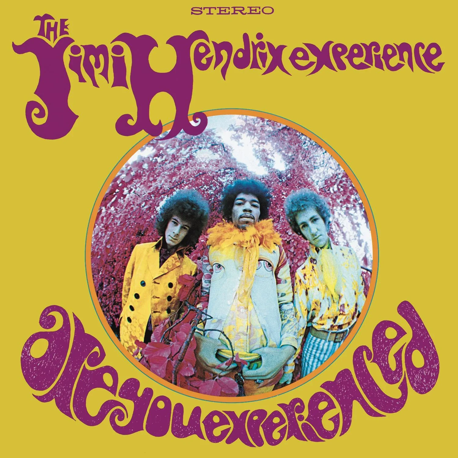 The Jimi Hendrix Experience - Are You Experienced (Vinyl) - Image 2