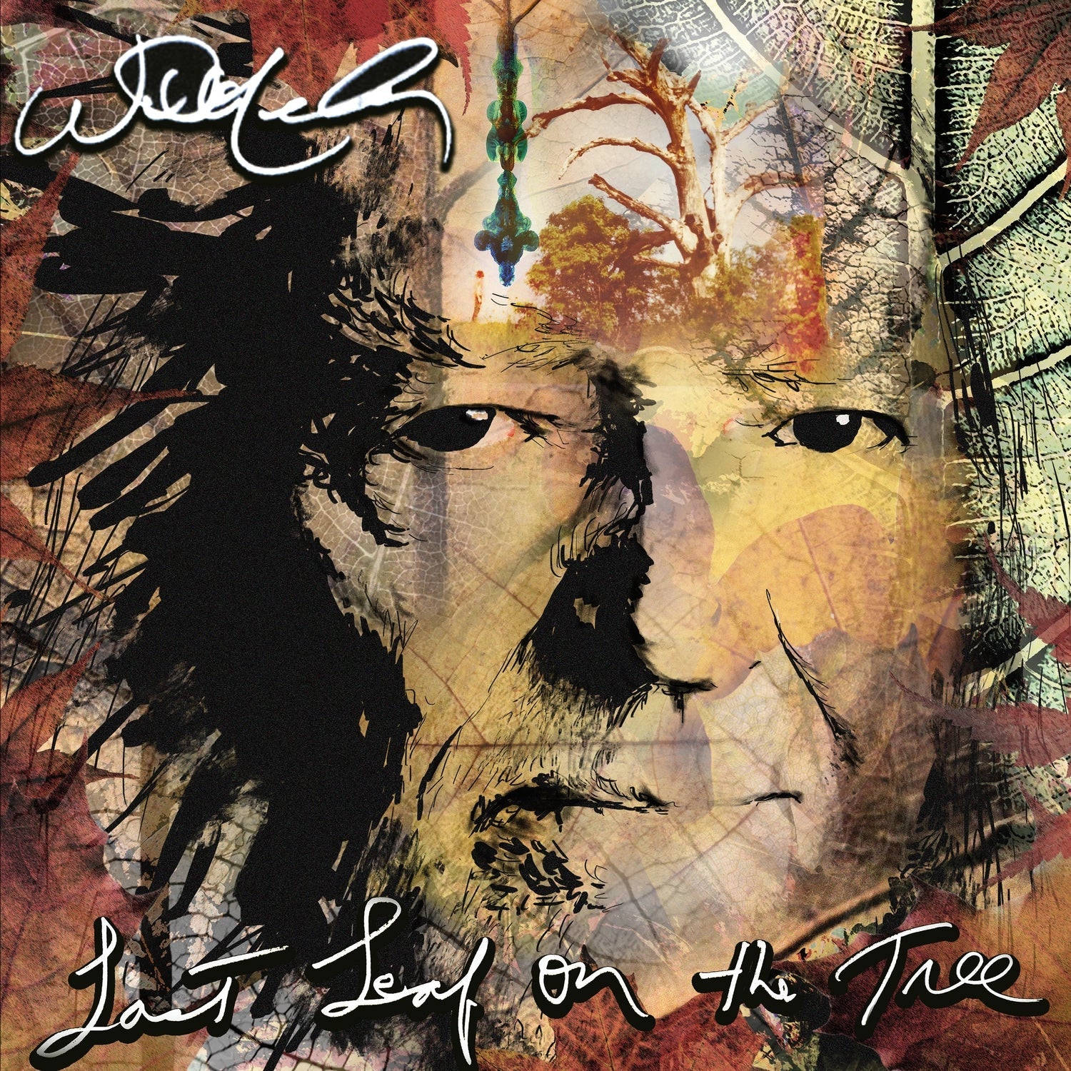 Willie Nelson - Last Leaf On The Tree (Vinyl) - Image 2