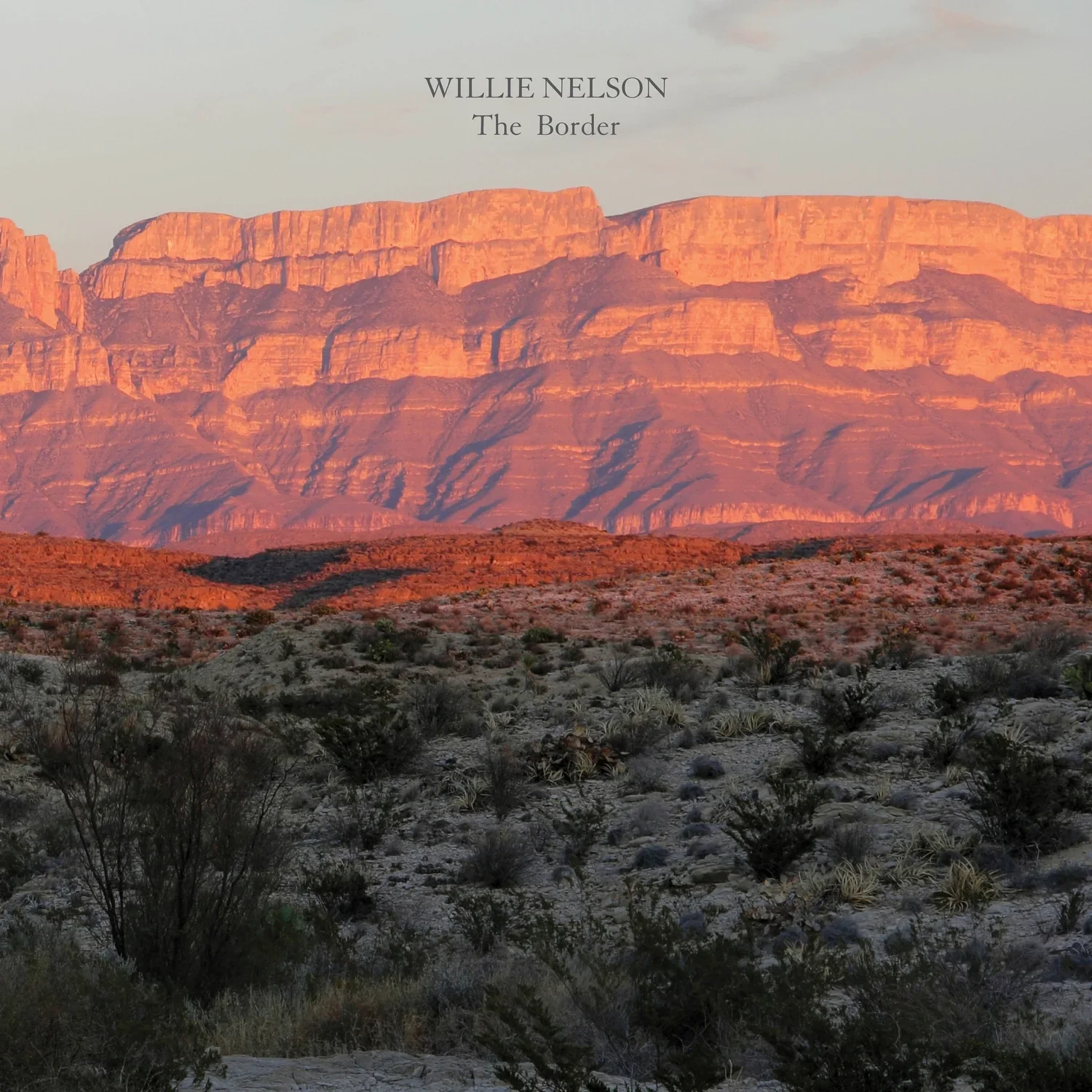 Willie Nelson - The Border (CD) - Image 2